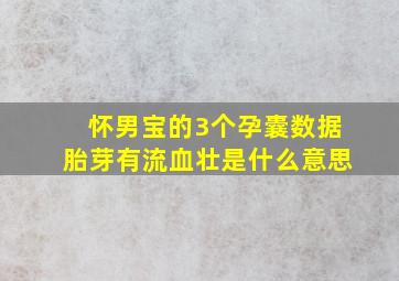 怀男宝的3个孕囊数据胎芽有流血壮是什么意思