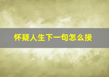 怀疑人生下一句怎么接