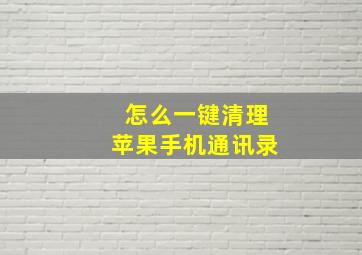 怎么一键清理苹果手机通讯录