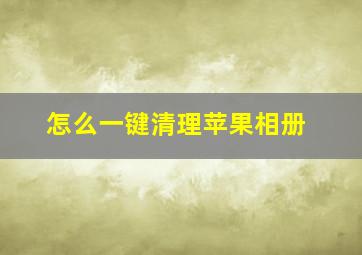 怎么一键清理苹果相册