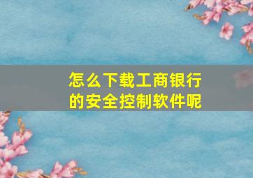 怎么下载工商银行的安全控制软件呢