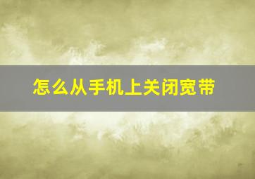 怎么从手机上关闭宽带