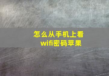 怎么从手机上看wifi密码苹果