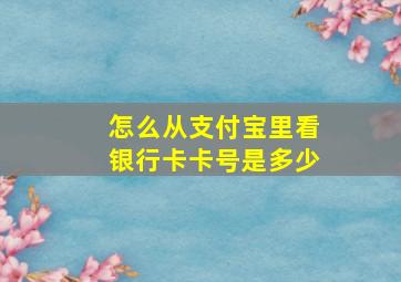 怎么从支付宝里看银行卡卡号是多少