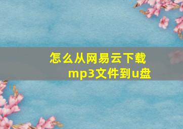 怎么从网易云下载mp3文件到u盘