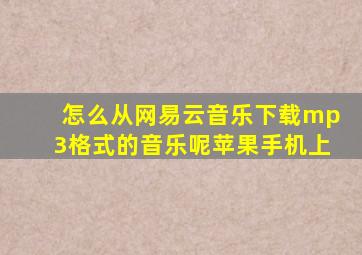 怎么从网易云音乐下载mp3格式的音乐呢苹果手机上