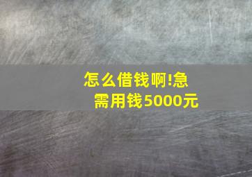 怎么借钱啊!急需用钱5000元