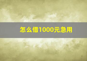 怎么借1000元急用