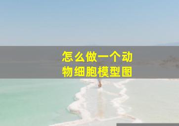 怎么做一个动物细胞模型图