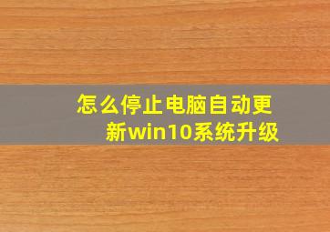 怎么停止电脑自动更新win10系统升级