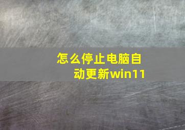 怎么停止电脑自动更新win11