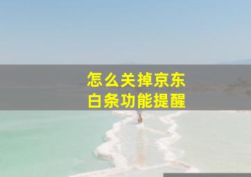 怎么关掉京东白条功能提醒