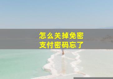 怎么关掉免密支付密码忘了