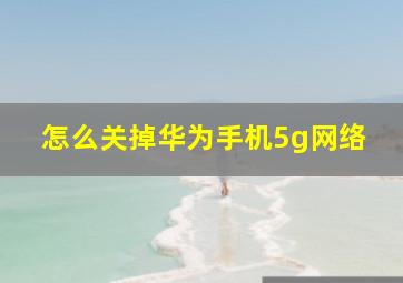 怎么关掉华为手机5g网络