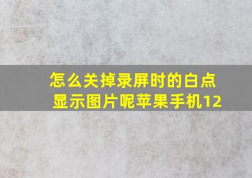 怎么关掉录屏时的白点显示图片呢苹果手机12