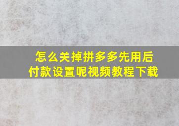 怎么关掉拼多多先用后付款设置呢视频教程下载