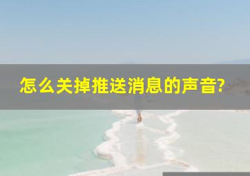 怎么关掉推送消息的声音?