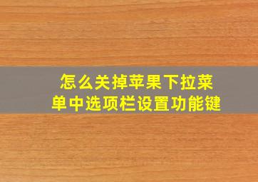 怎么关掉苹果下拉菜单中选项栏设置功能键