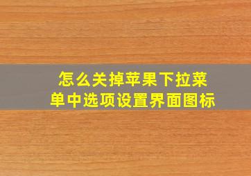 怎么关掉苹果下拉菜单中选项设置界面图标