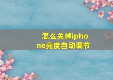 怎么关掉iphone亮度自动调节