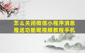 怎么关闭微信小程序消息推送功能呢视频教程手机