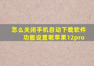 怎么关闭手机自动下载软件功能设置呢苹果12pro