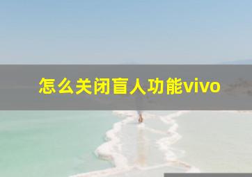 怎么关闭盲人功能vivo