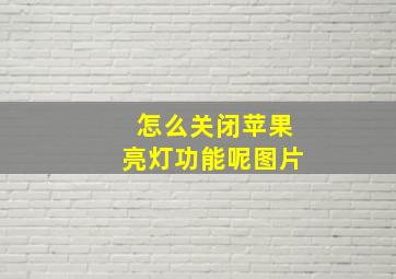 怎么关闭苹果亮灯功能呢图片