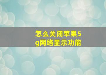 怎么关闭苹果5g网络显示功能