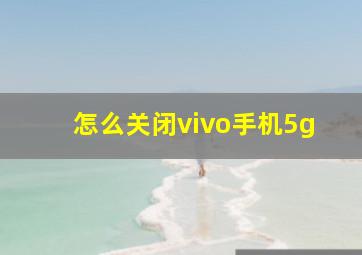 怎么关闭vivo手机5g