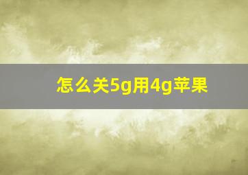 怎么关5g用4g苹果