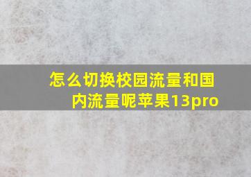 怎么切换校园流量和国内流量呢苹果13pro