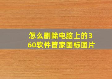 怎么删除电脑上的360软件管家图标图片