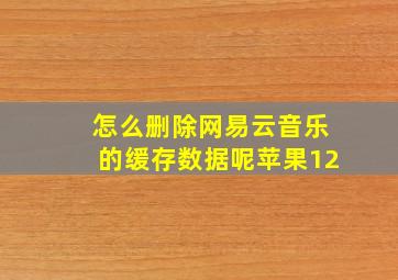 怎么删除网易云音乐的缓存数据呢苹果12