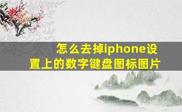 怎么去掉iphone设置上的数字键盘图标图片