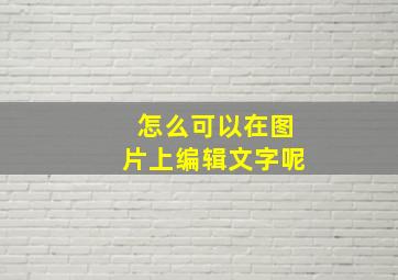 怎么可以在图片上编辑文字呢