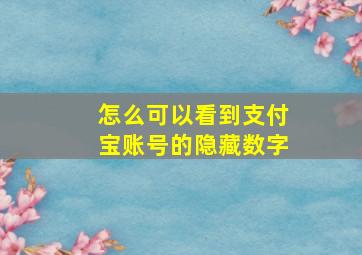 怎么可以看到支付宝账号的隐藏数字