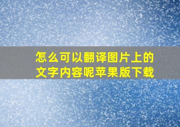 怎么可以翻译图片上的文字内容呢苹果版下载