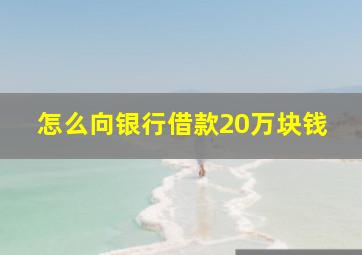 怎么向银行借款20万块钱