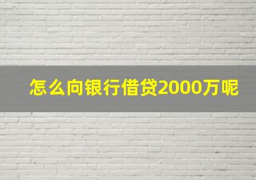 怎么向银行借贷2000万呢