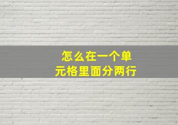 怎么在一个单元格里面分两行