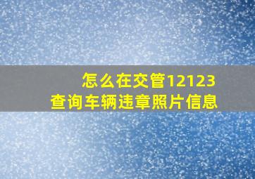 怎么在交管12123查询车辆违章照片信息