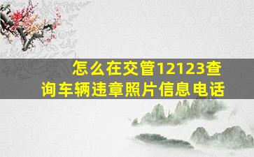 怎么在交管12123查询车辆违章照片信息电话