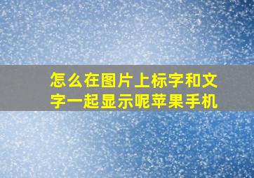 怎么在图片上标字和文字一起显示呢苹果手机