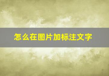 怎么在图片加标注文字