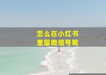 怎么在小红书里留微信号呢