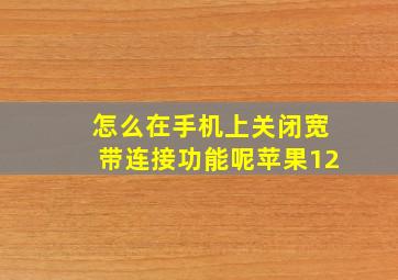 怎么在手机上关闭宽带连接功能呢苹果12