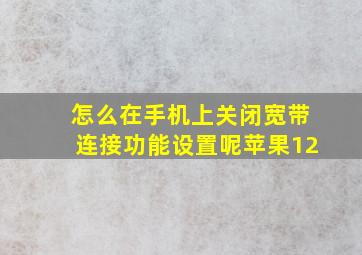 怎么在手机上关闭宽带连接功能设置呢苹果12