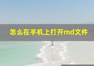 怎么在手机上打开md文件