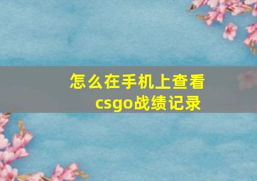 怎么在手机上查看csgo战绩记录